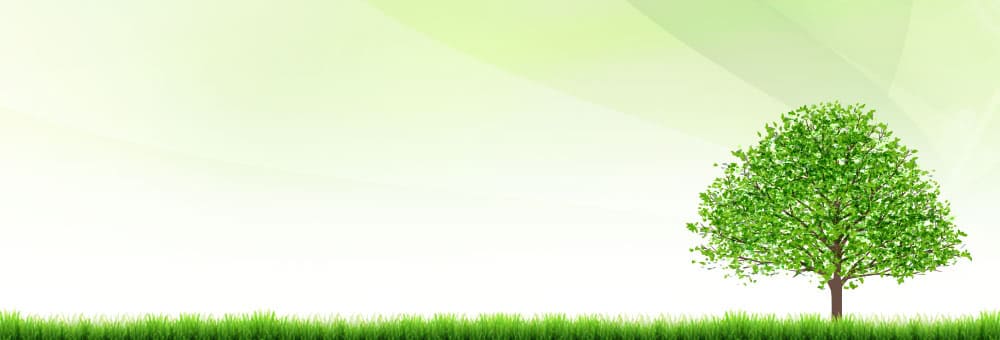 �L���֗̕��� ���C�W���O�T��